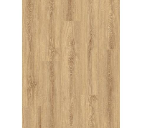 Hazel Maple